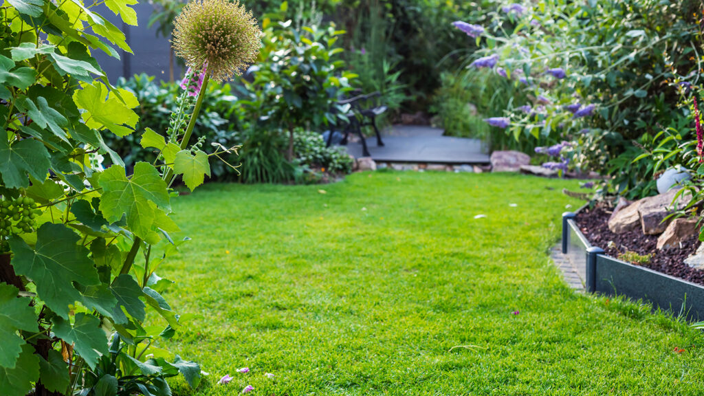 Landscape view of beautiful garden with freshly mowed lawn and flowerbed. Soft focus on foreground plants.